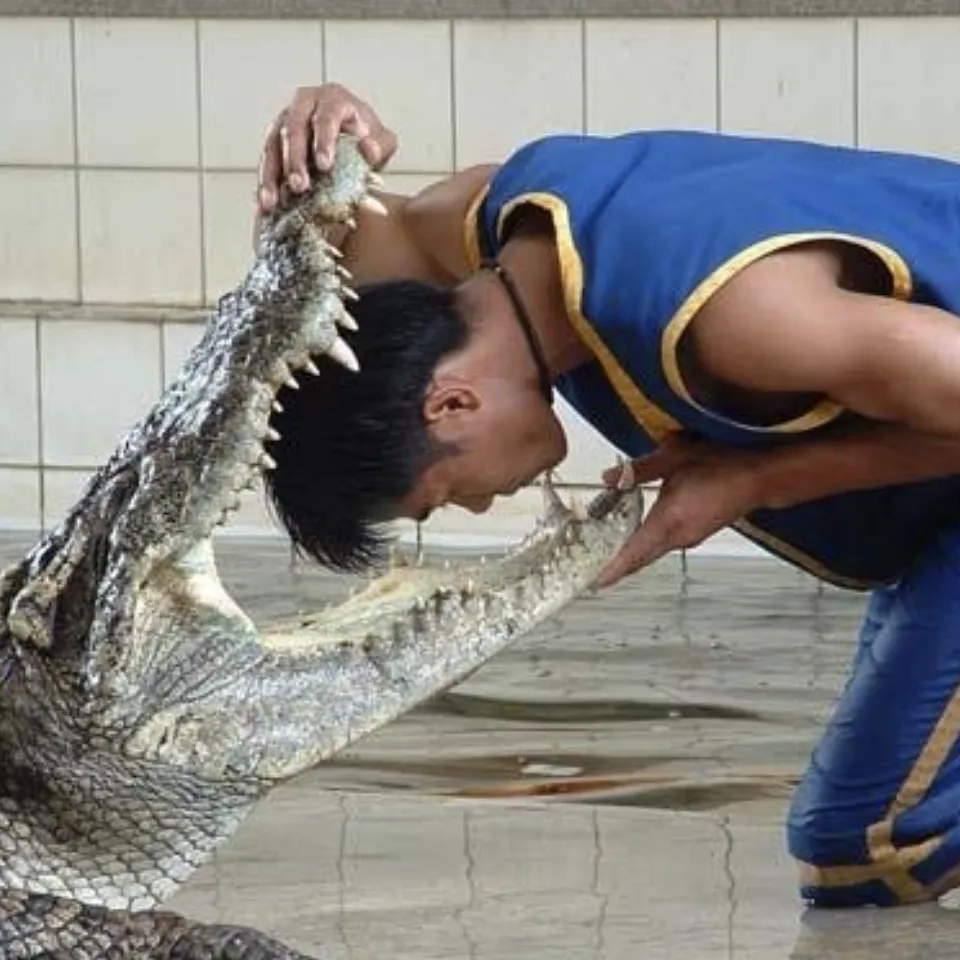 Emprendedor Franquiciado