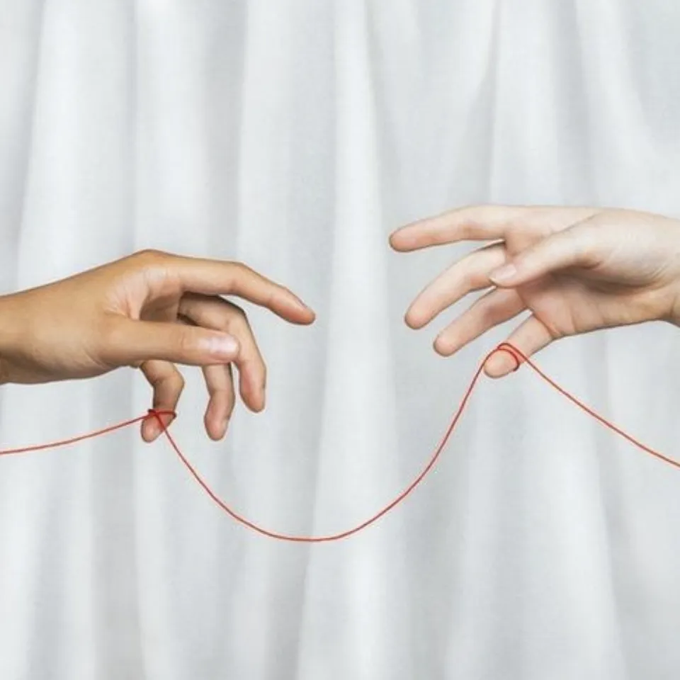 Emprendedor Profesional Liberal