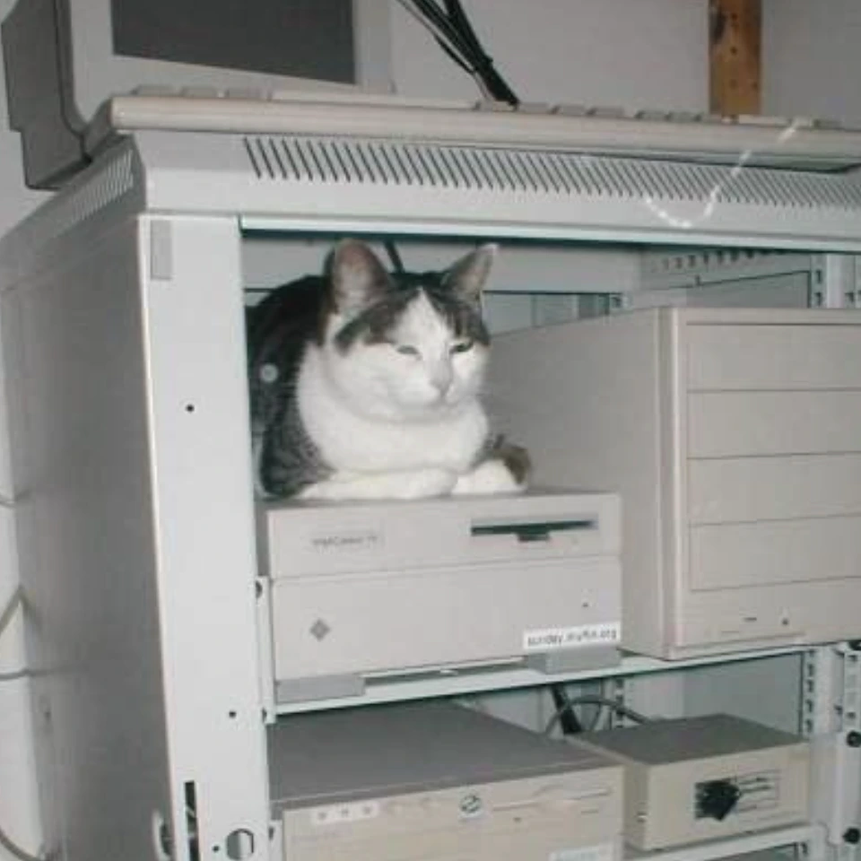 Estar solo y la autodisciplina