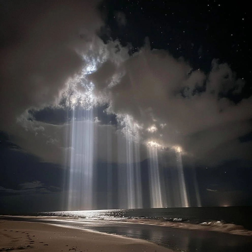 ¿Cuál es la clave del éxito para un emprendedor?