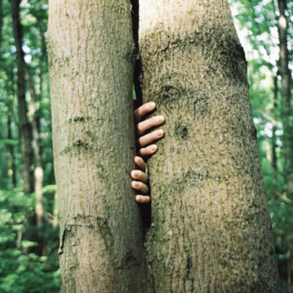 El riesgo de perder relaciones personales